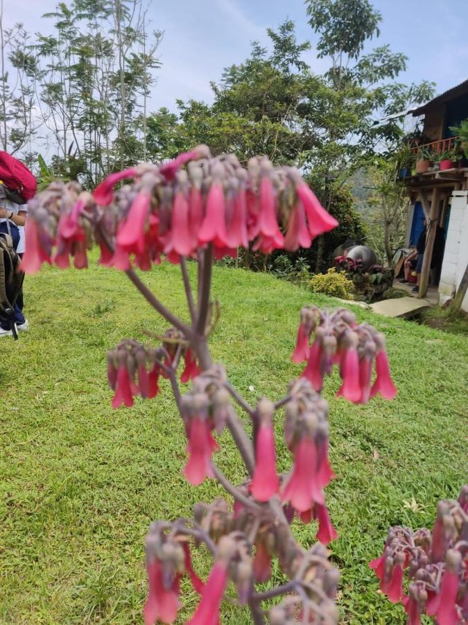 Finca Jardin Del Agua Villa Sasaima Ngoại thất bức ảnh