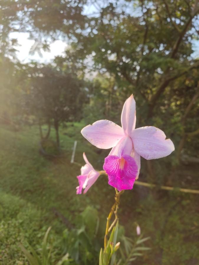 Finca Jardin Del Agua Sasaima Ngoại thất bức ảnh