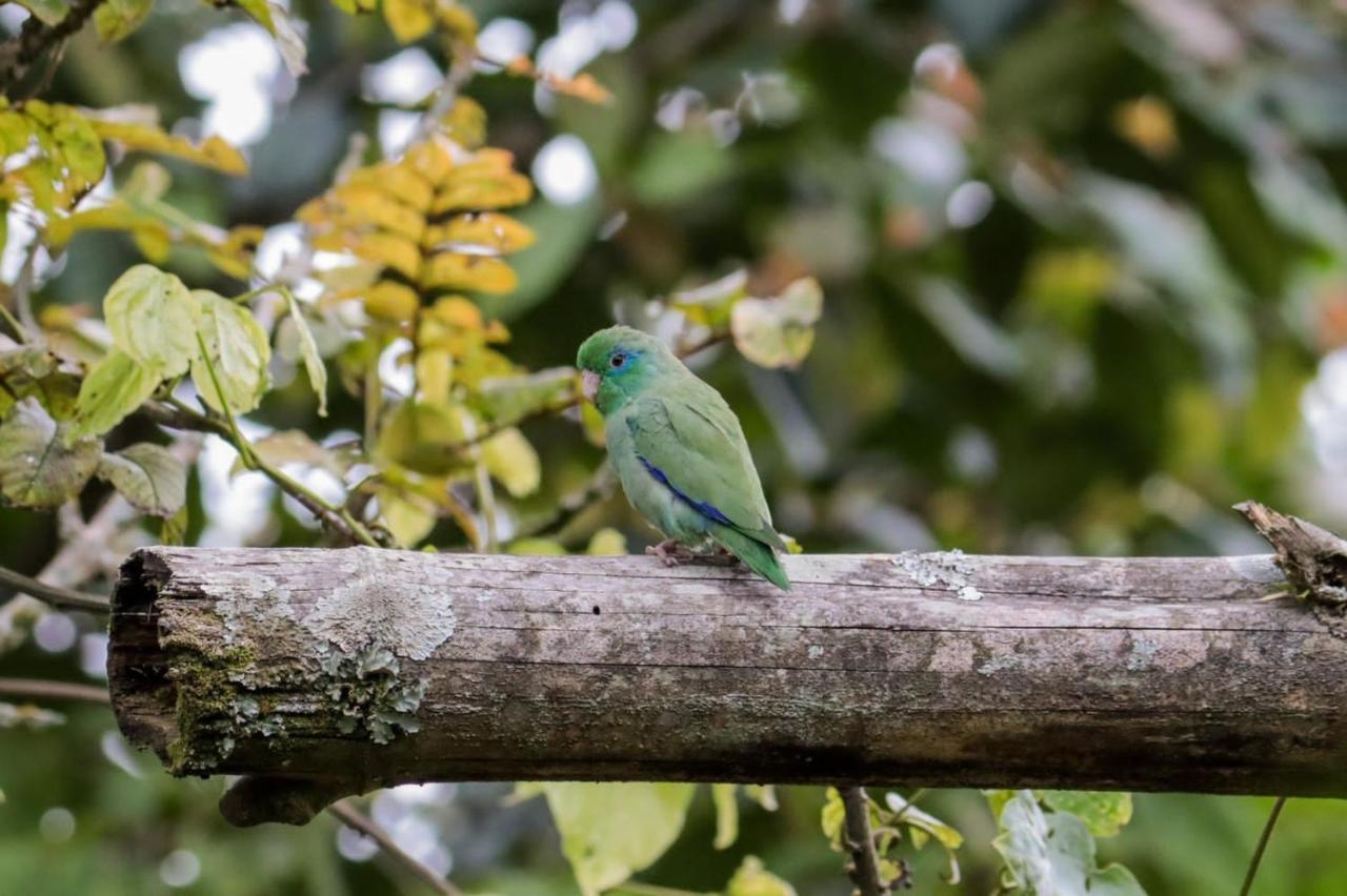 Finca Jardin Del Agua Sasaima Ngoại thất bức ảnh