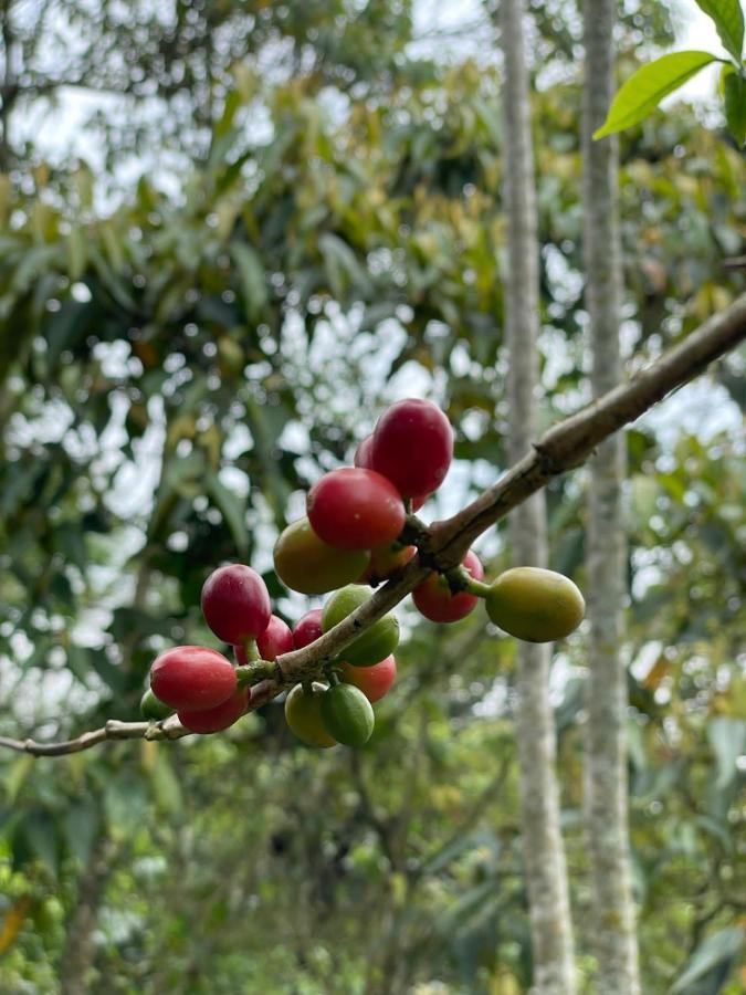 Finca Jardin Del Agua Sasaima Ngoại thất bức ảnh