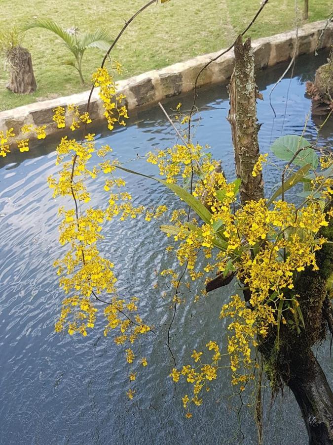 Finca Jardin Del Agua Sasaima Ngoại thất bức ảnh