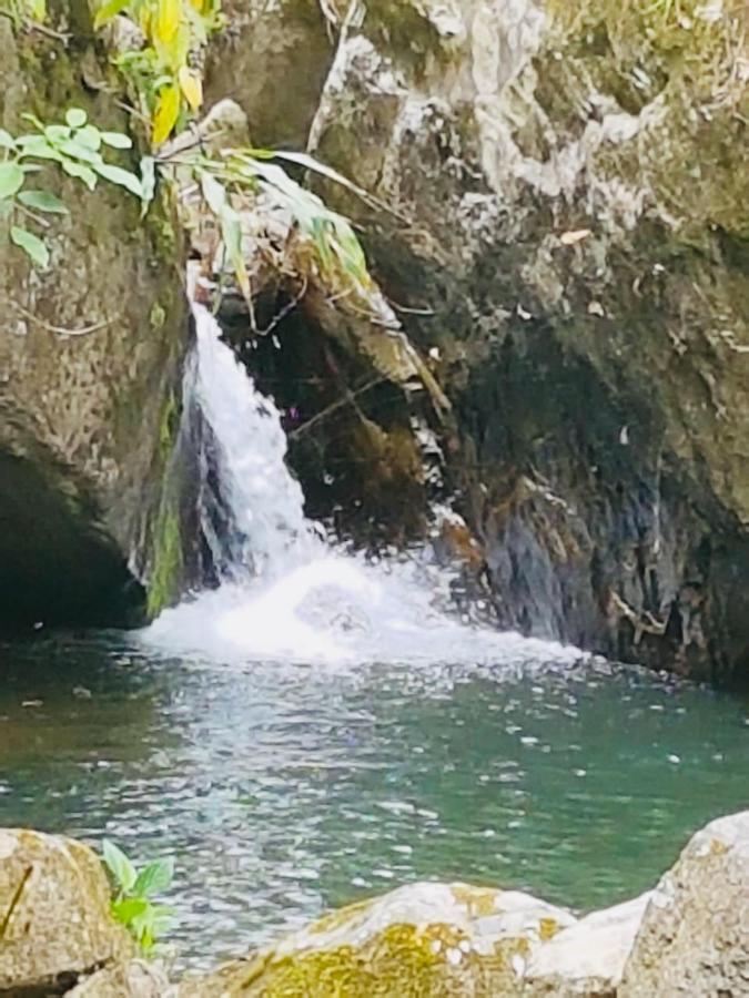 Finca Jardin Del Agua Sasaima Ngoại thất bức ảnh