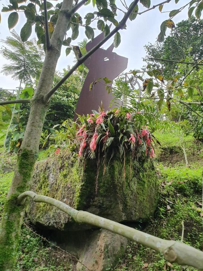 Finca Jardin Del Agua Sasaima Ngoại thất bức ảnh