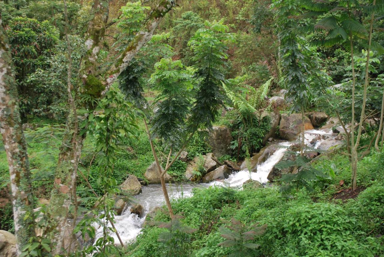 Finca Jardin Del Agua Sasaima Ngoại thất bức ảnh