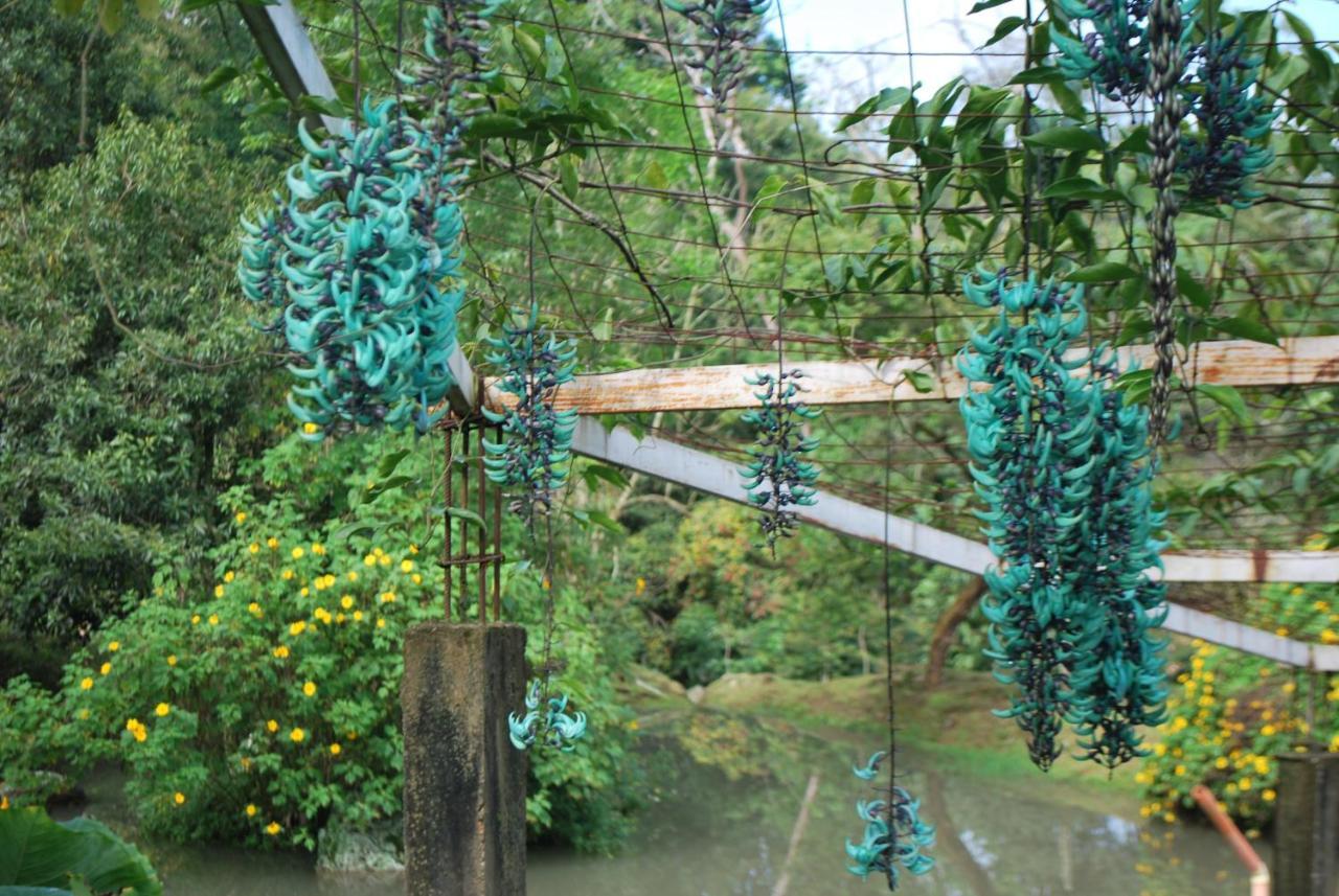 Finca Jardin Del Agua Sasaima Ngoại thất bức ảnh