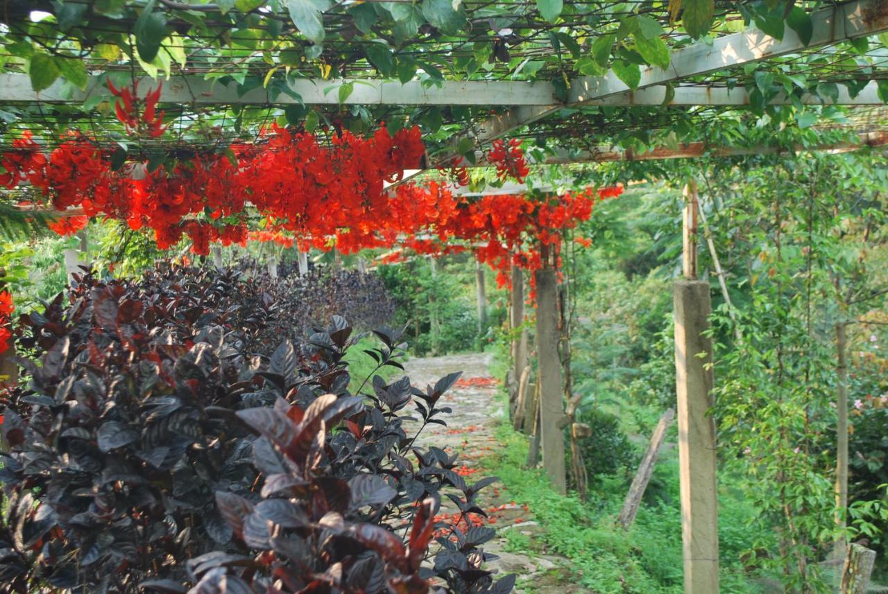 Finca Jardin Del Agua Sasaima Ngoại thất bức ảnh