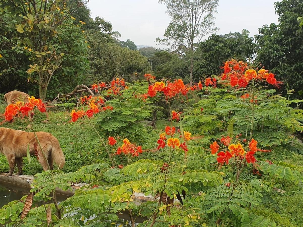 Finca Jardin Del Agua Villa Sasaima Ngoại thất bức ảnh